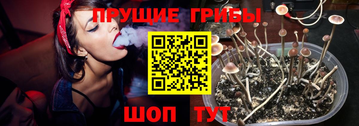 Галлюциногенные грибы ЛСД  Вход с VPN  Усть-Джегута  Галлюциногенные грибы ЛСД 